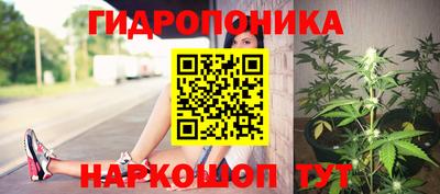 амф Железногорск